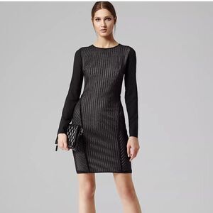 Reiss Chloe Sheer Sleeve Striped Lace Fitted Dress